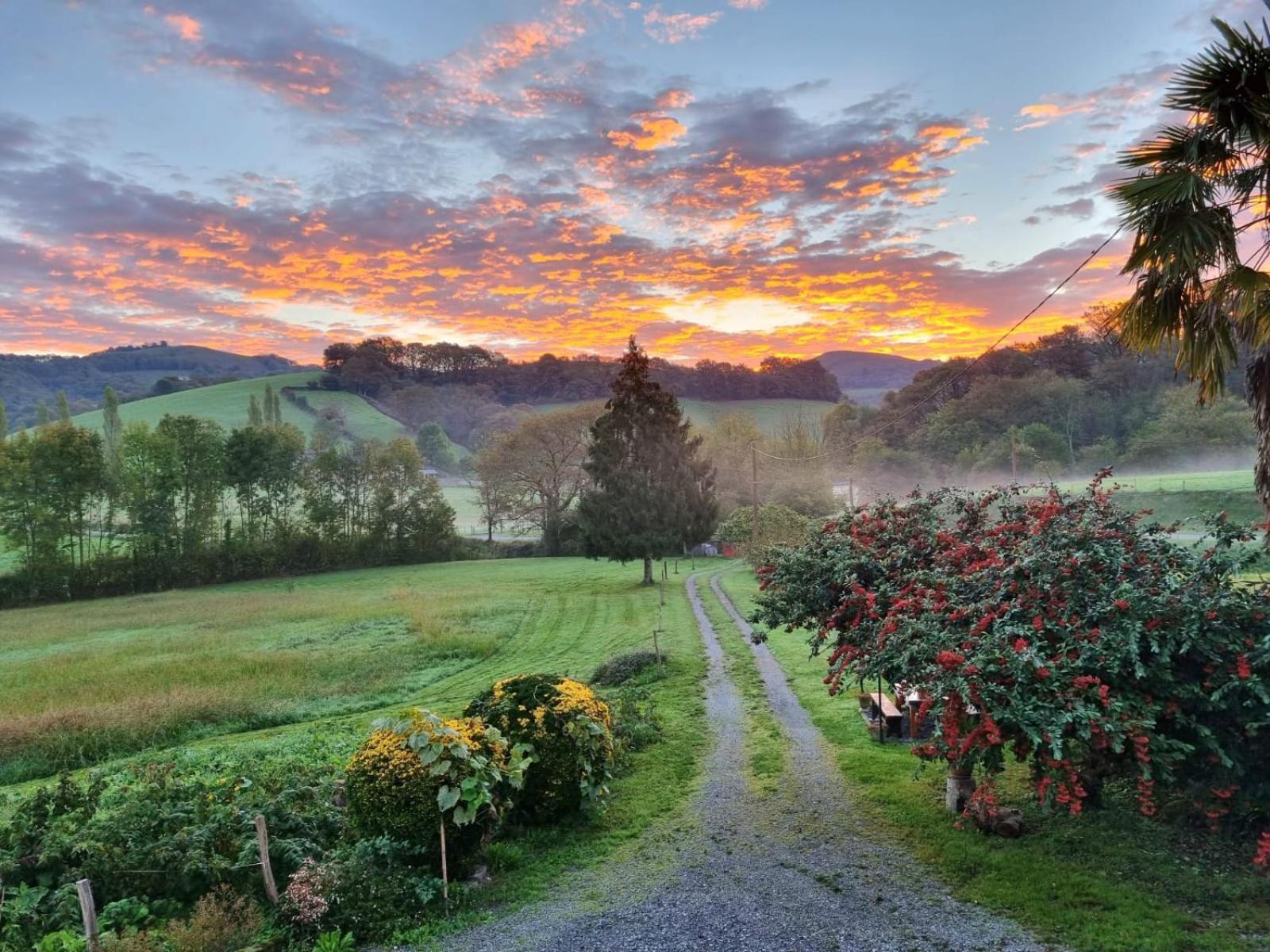 "Chez Naty" Chambres D'Hotes Au Pays-Basque Cheraute ภายนอก รูปภาพ